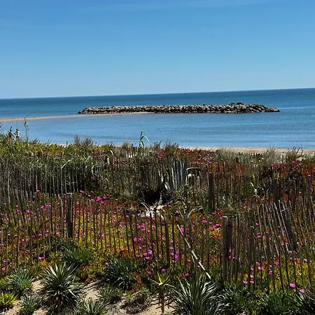 De L Oyat Apartamento Valras-Plage